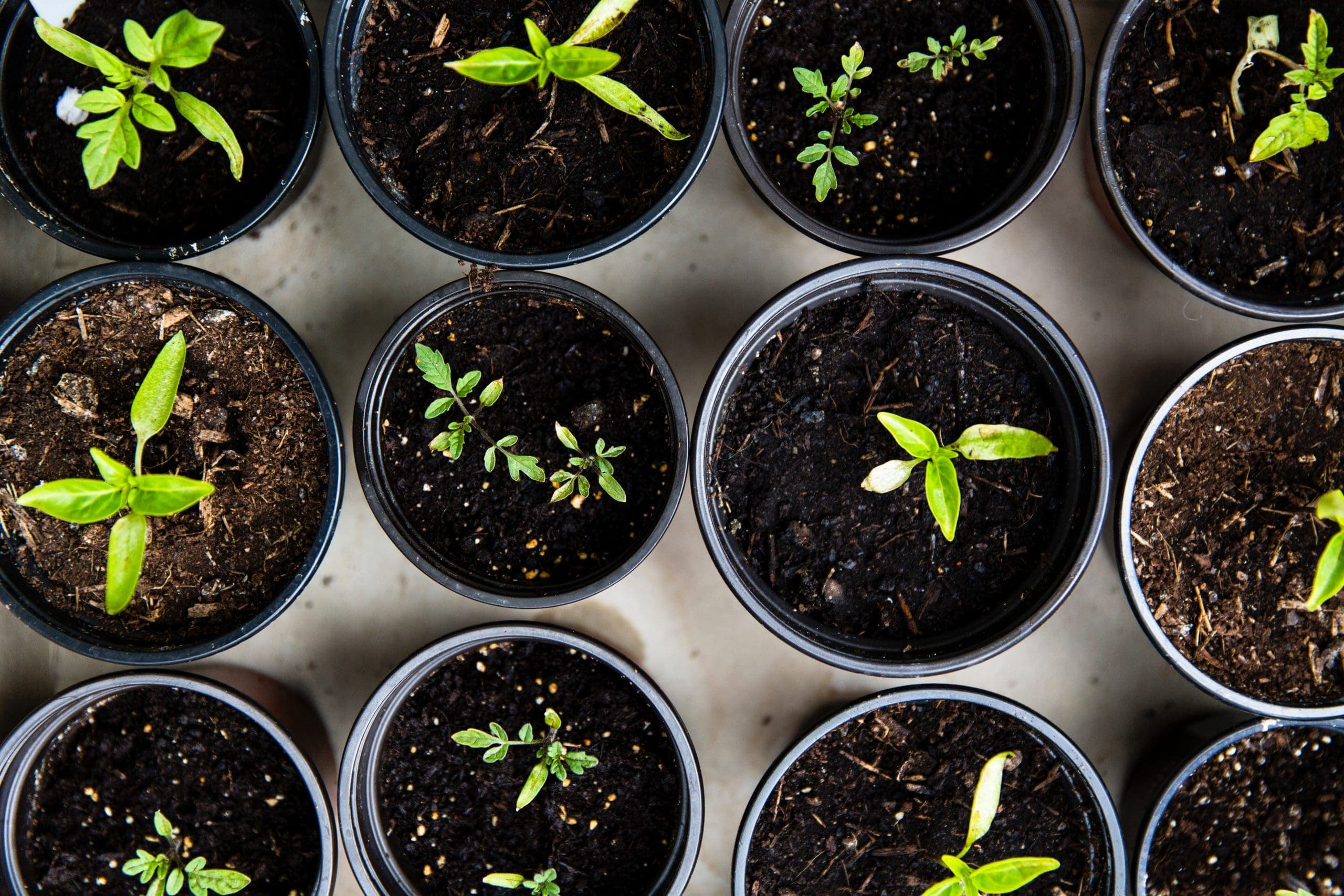 What’s Stopping Your Business from Growing?