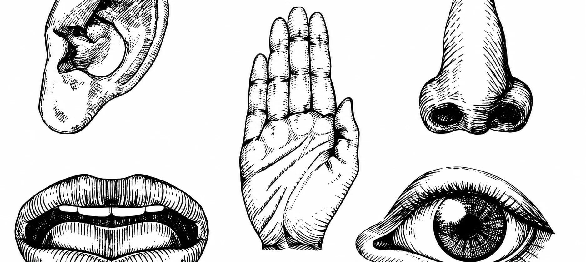 How to Create an Unique Brand Identity