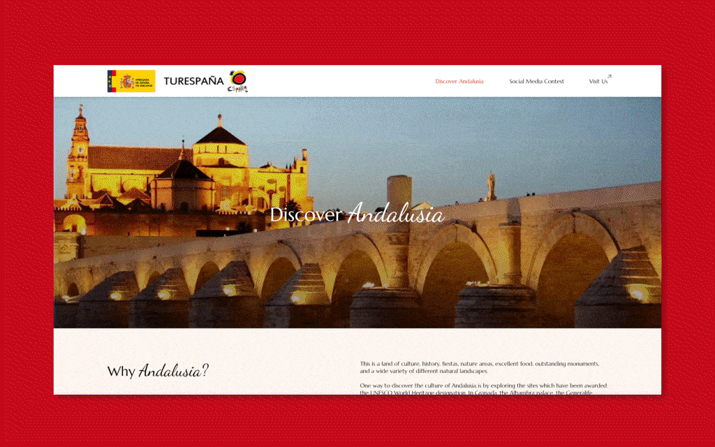 brand identity image