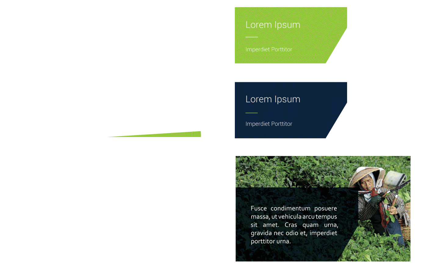brand identity image