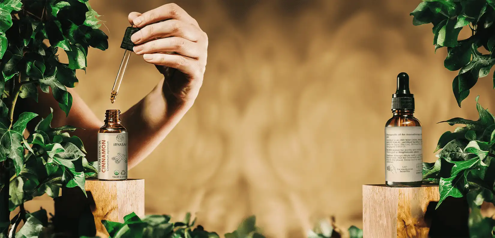 The Art of Problem-Solving: Branding and Design for Indonesian Businesses