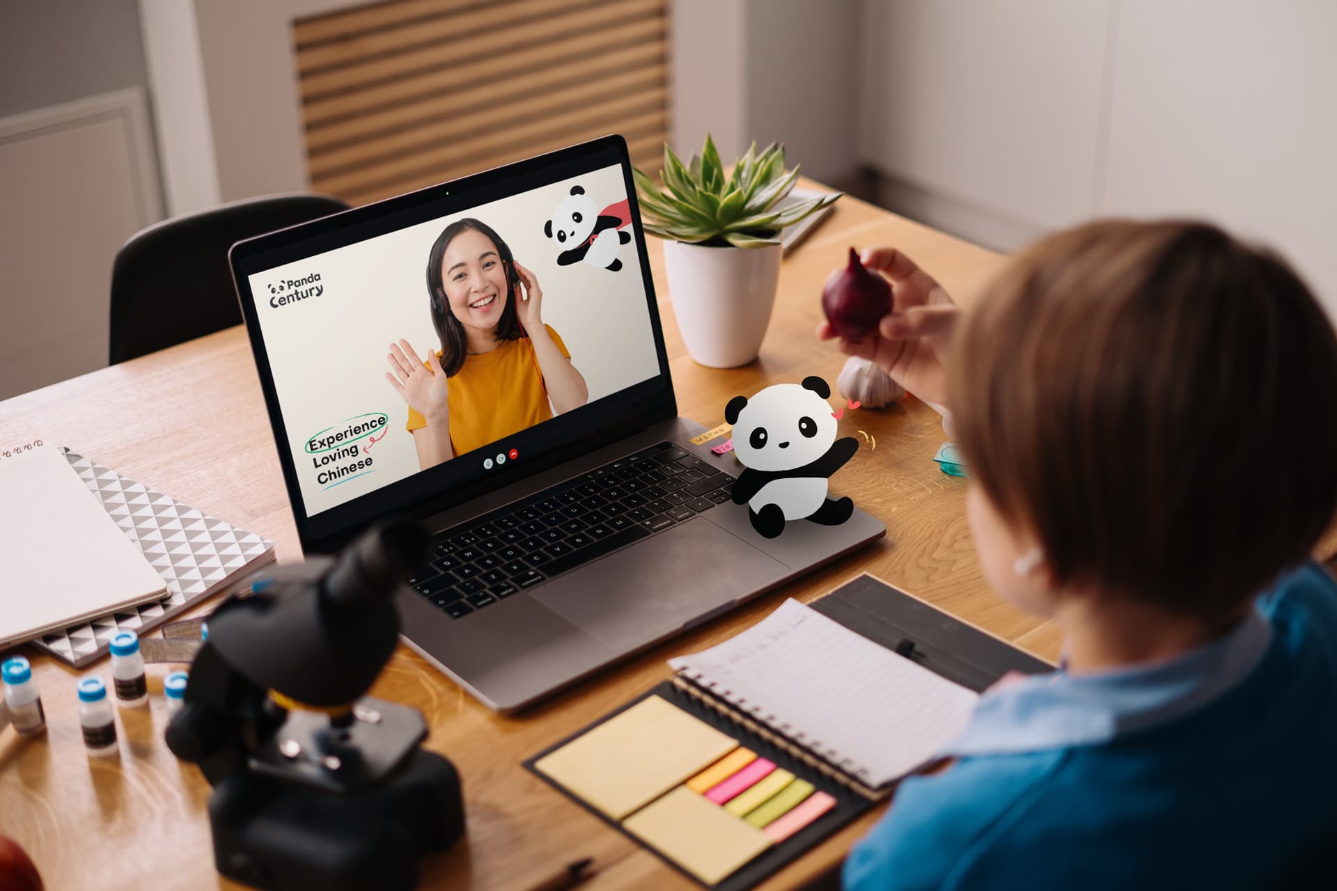 PANDA CENTURY EDUCATION