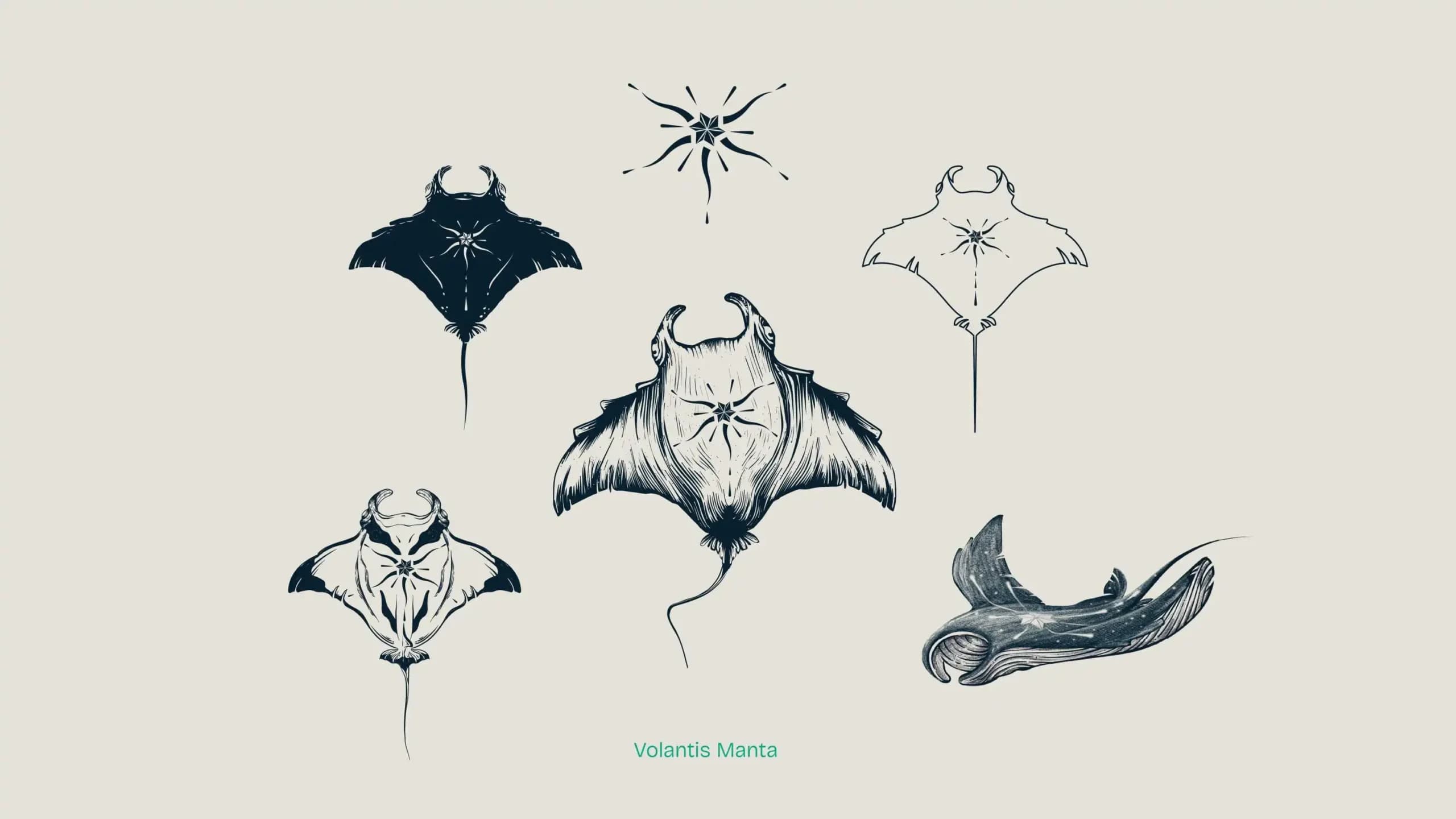 brand identity image